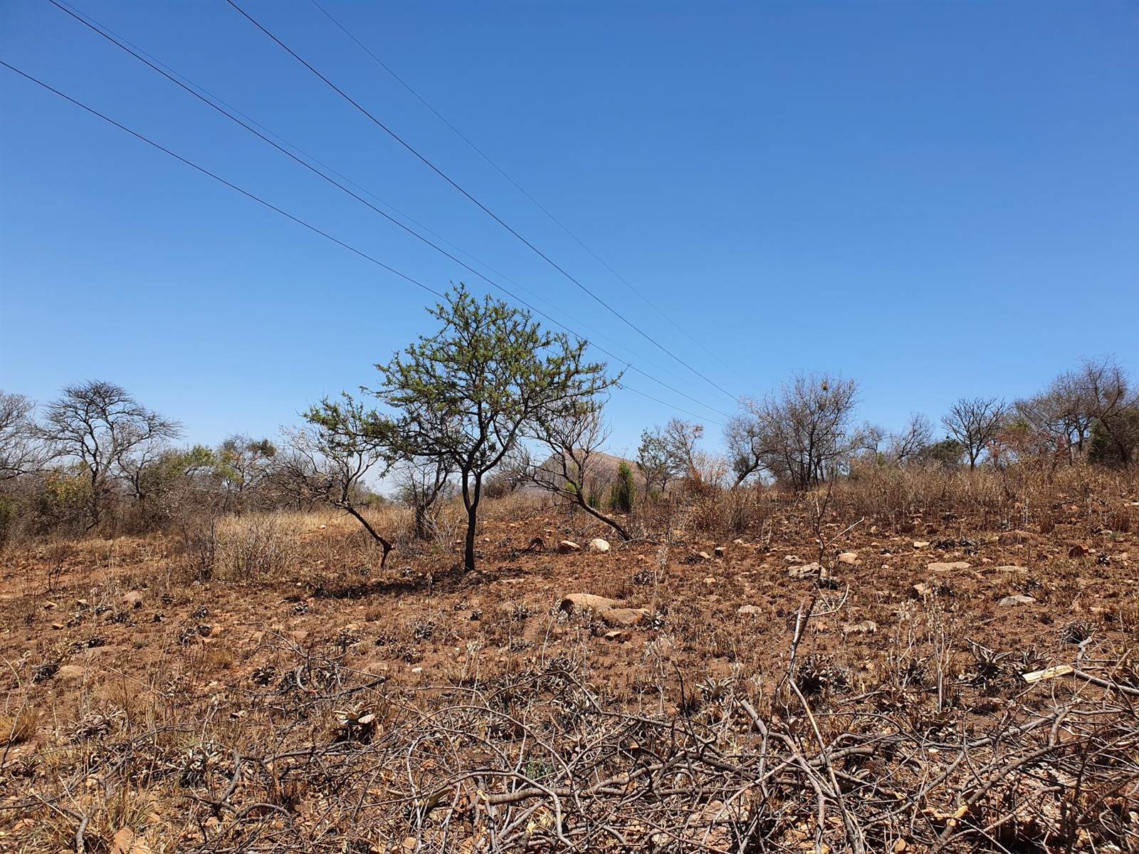 51.6 ha Land available in Rietfontein photo number 22