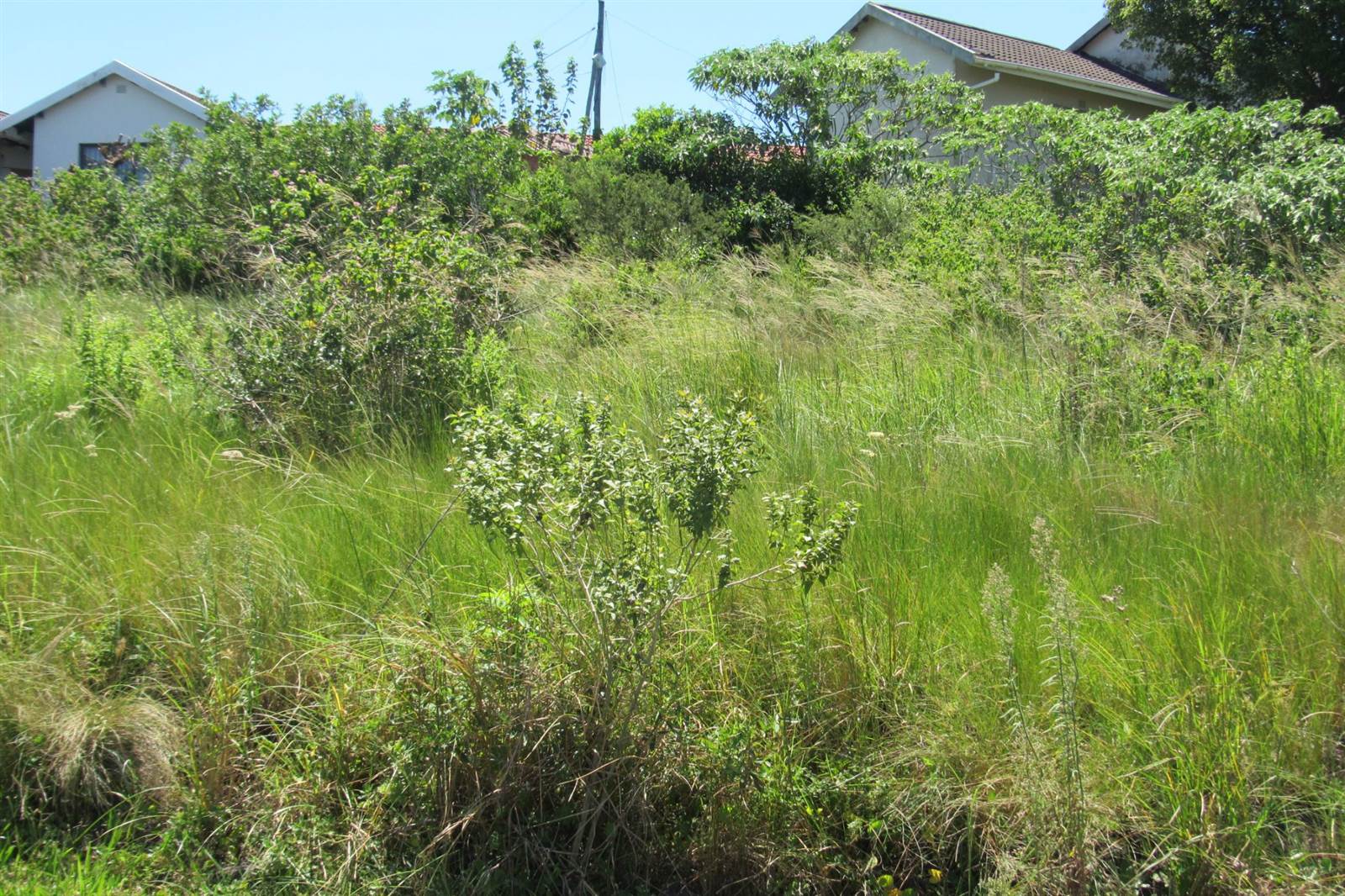 619 m² Land available in Gamalakhe A photo number 6