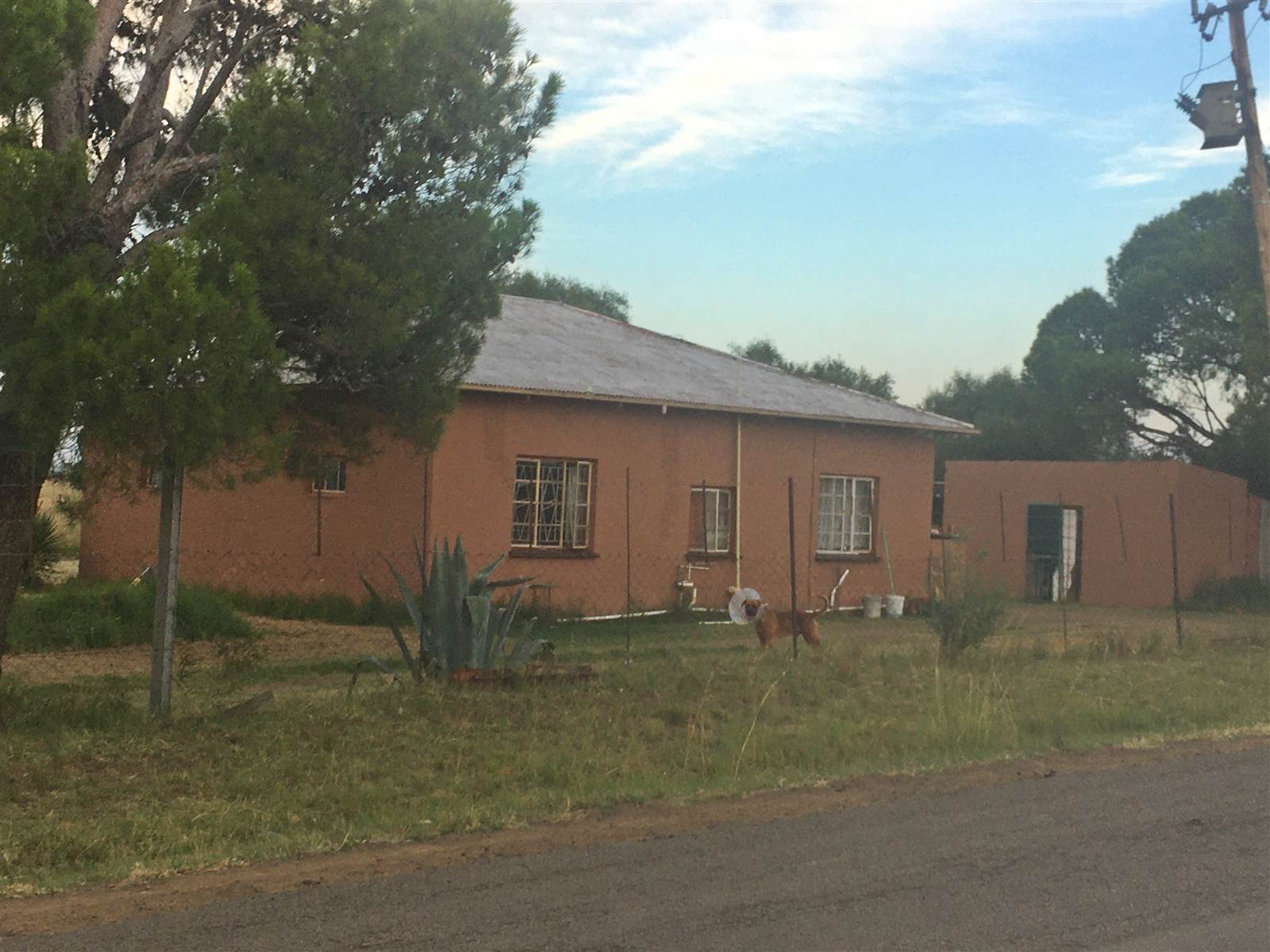 4.2 ha Smallholding in Bloemfontein Farms photo number 23