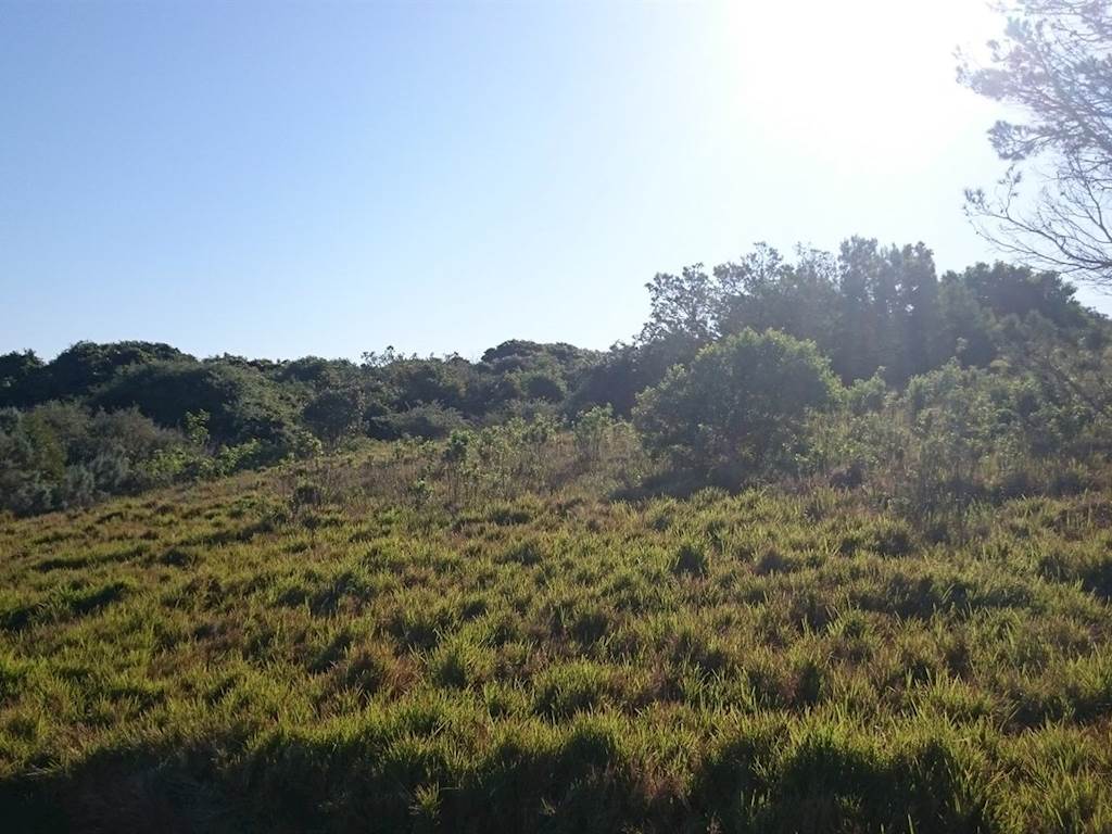 1069 m² Land available in Port Alfred photo number 3