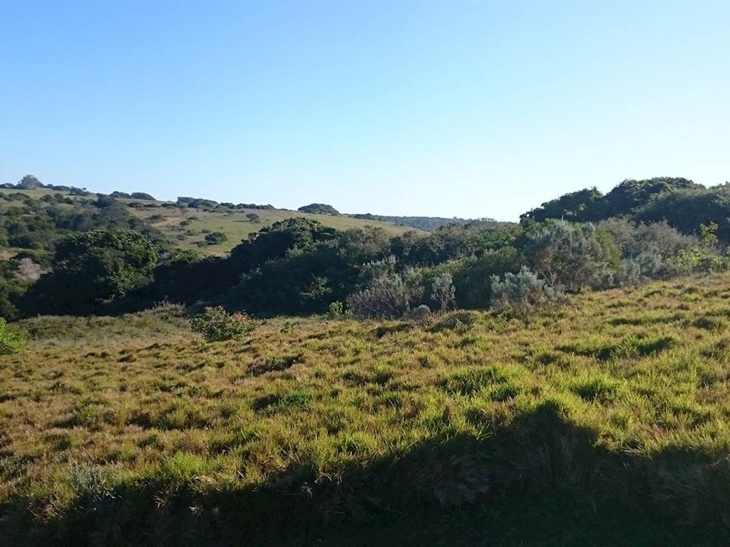 1069 m² Land available in Port Alfred photo number 4