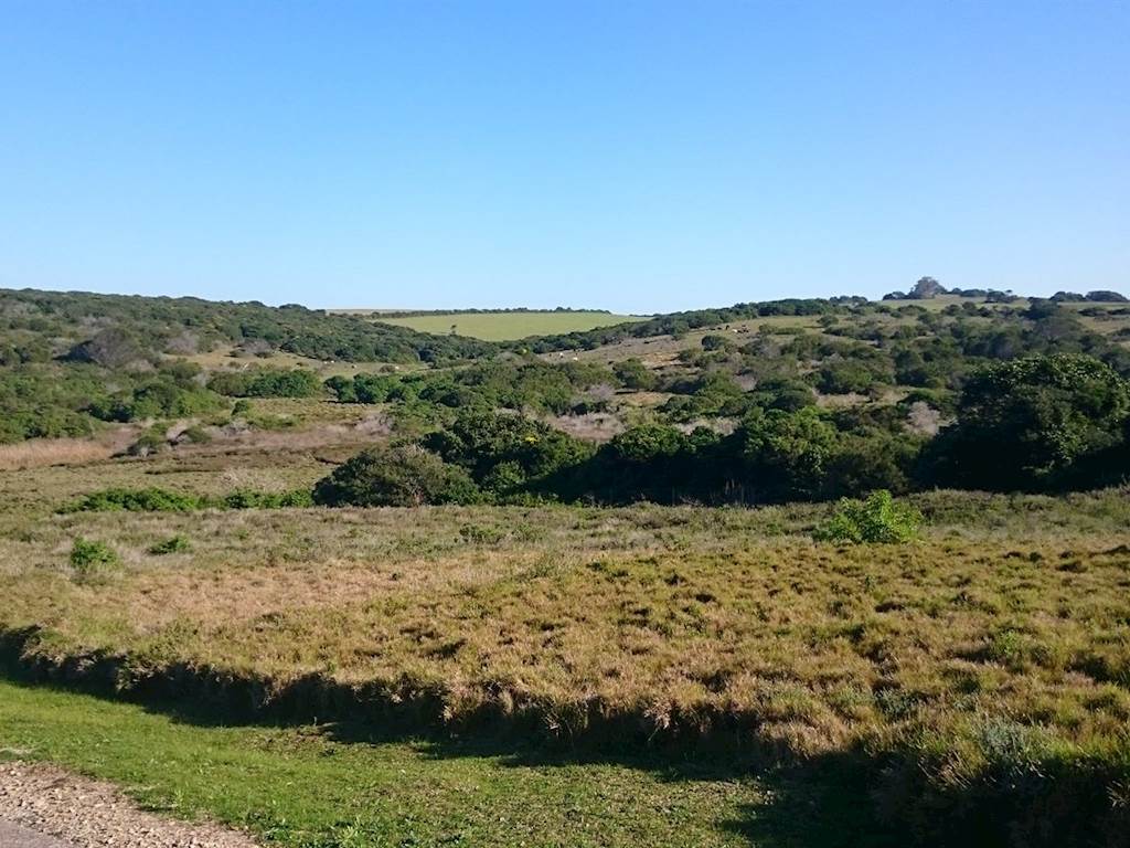 1069 m² Land available in Port Alfred photo number 5