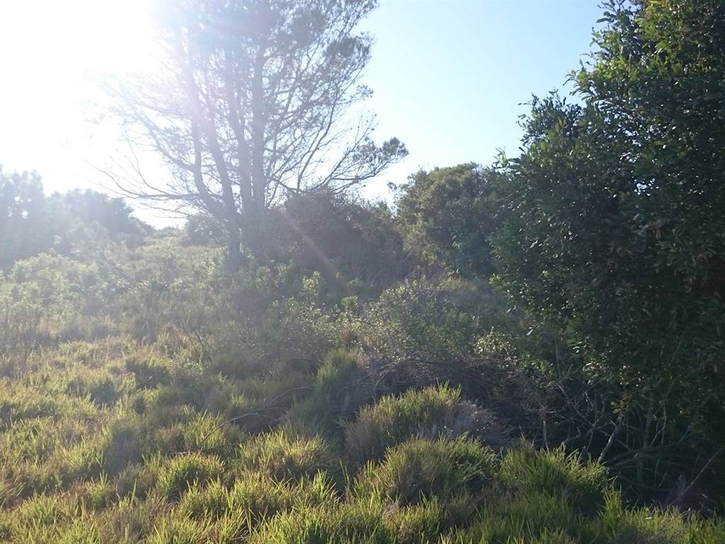 1069 m² Land available in Port Alfred photo number 2