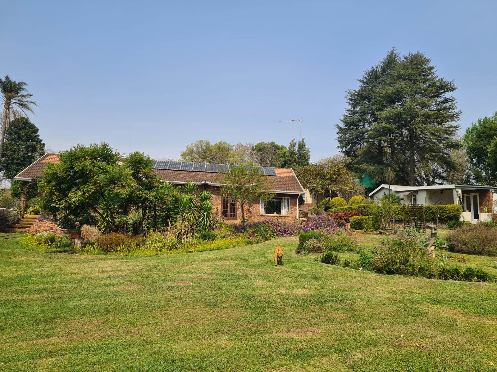 2.4 ha Smallholding in Howick photo number 9