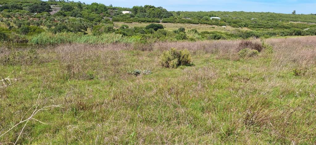 585 m² Land available in Stilbaai photo number 4
