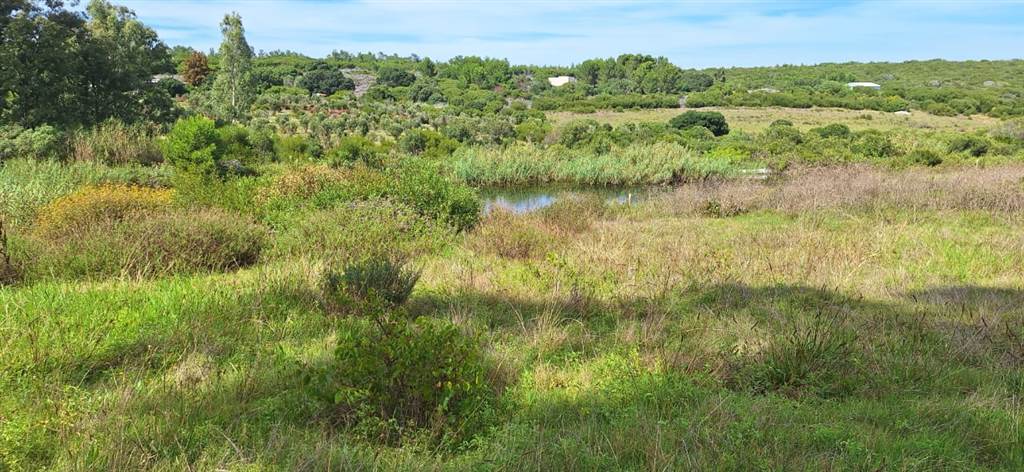 585 m² Land available in Stilbaai photo number 11