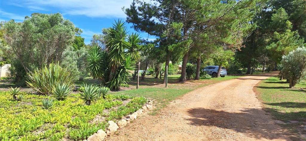 585 m² Land available in Stilbaai photo number 7
