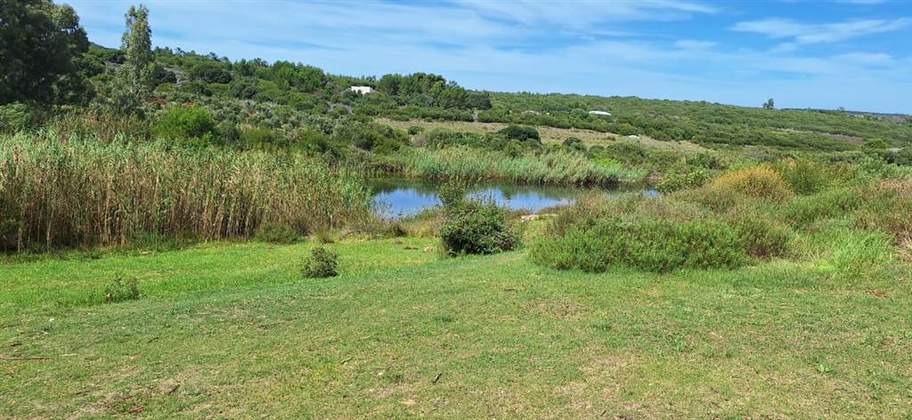 585 m² Land available in Stilbaai photo number 6