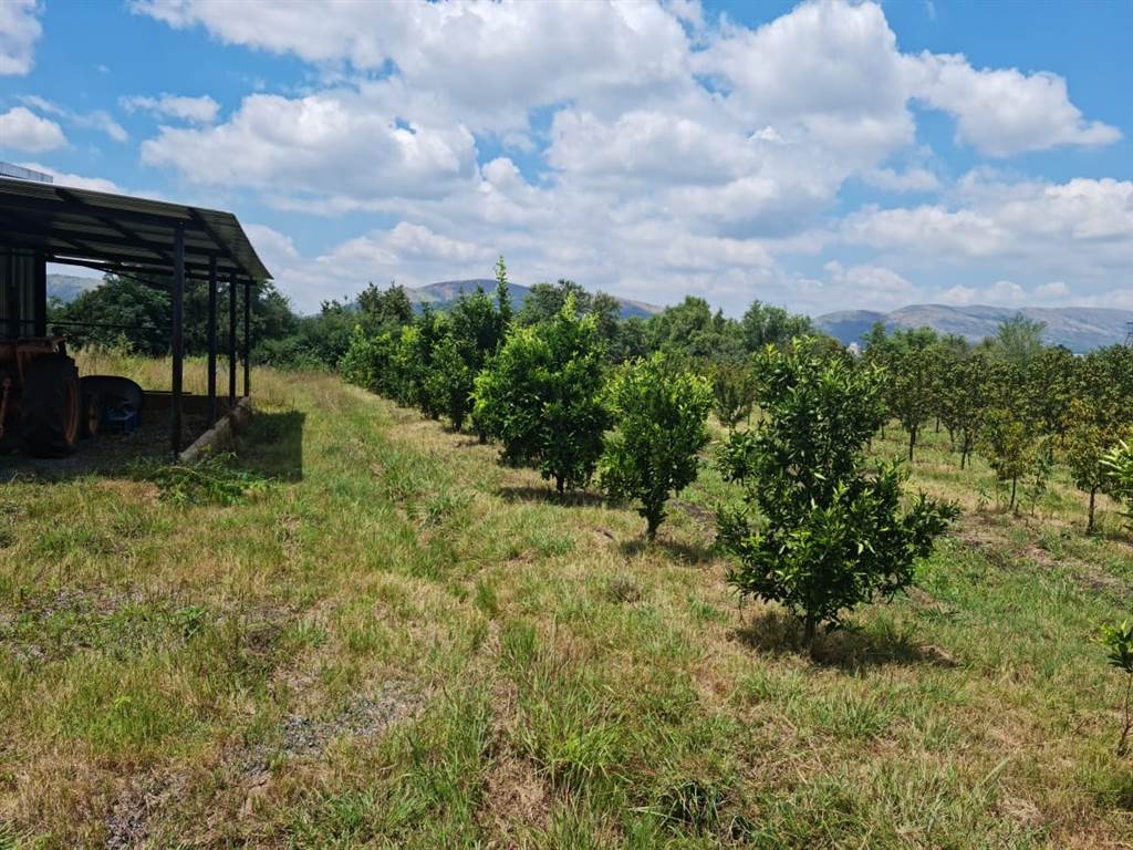6 ha Farm in Zandfontein AH photo number 11