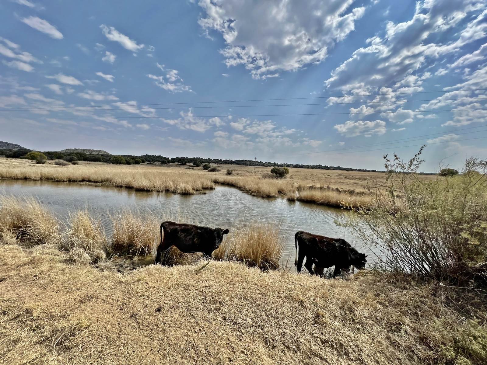 498 ha Farm in Bloemfontein photo number 5
