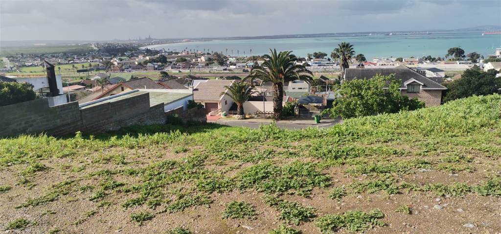 1190 m² Land available in Saldanha photo number 8