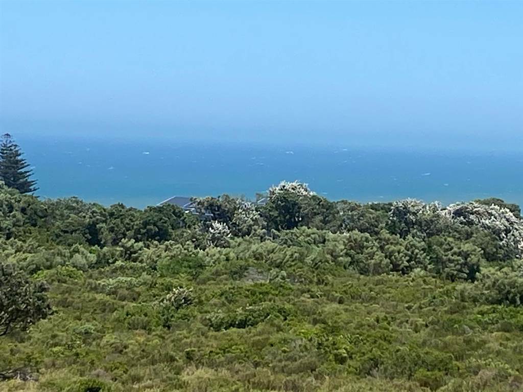 3.5 ha Land available in Cannon Rocks photo number 3