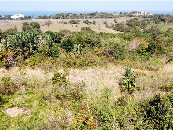 1000 m² Land available in Shelly Beach