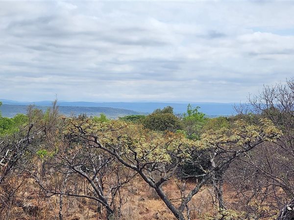 2 500 m² Land 2 500 m² Land