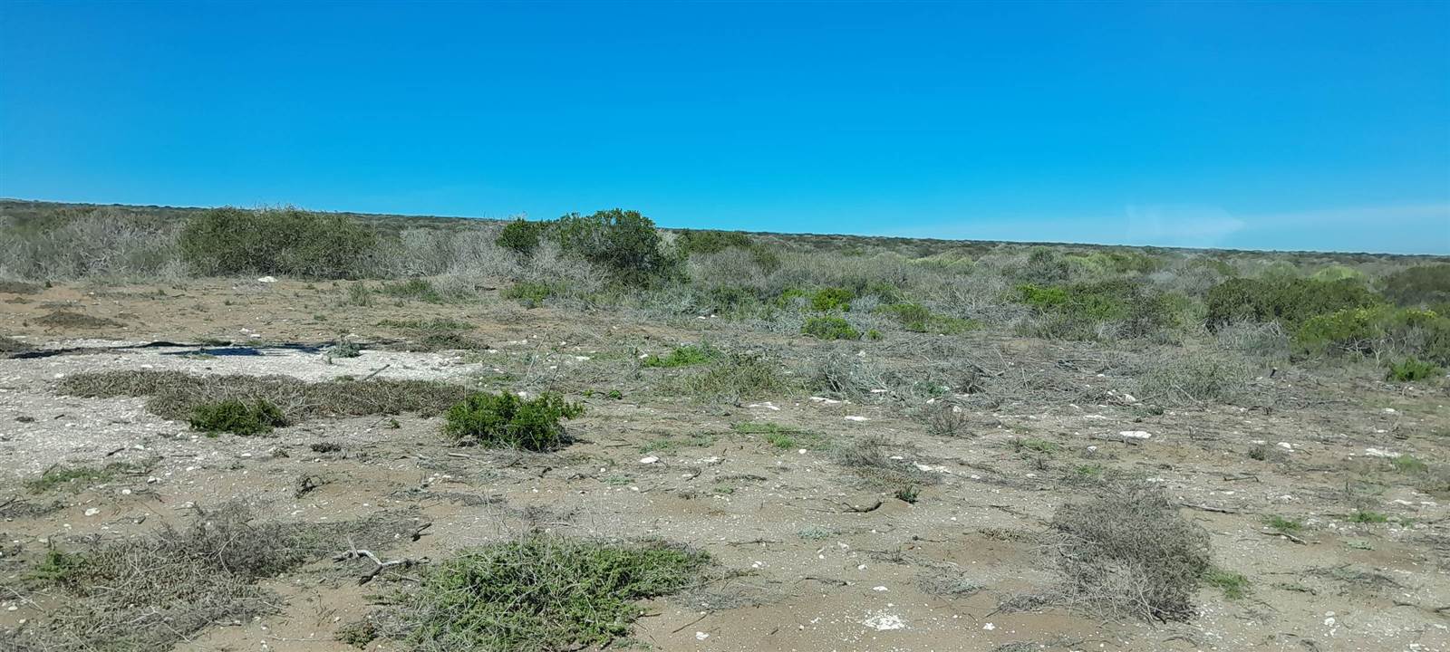 2.8 ha Land available in Jacobsbaai photo number 4