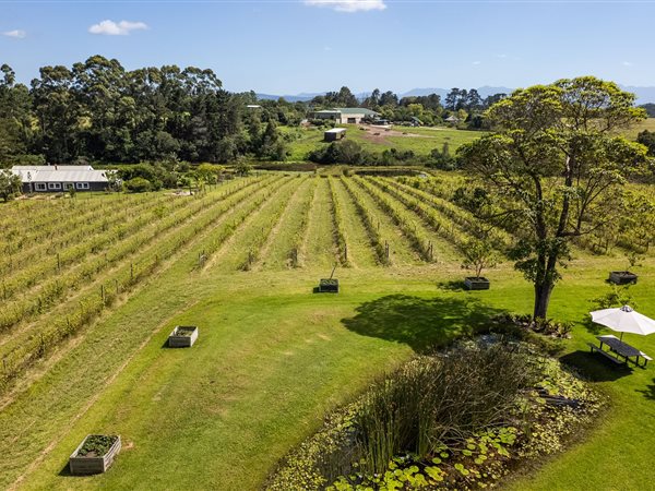 6 ha Smallholding 6 ha Smallholding