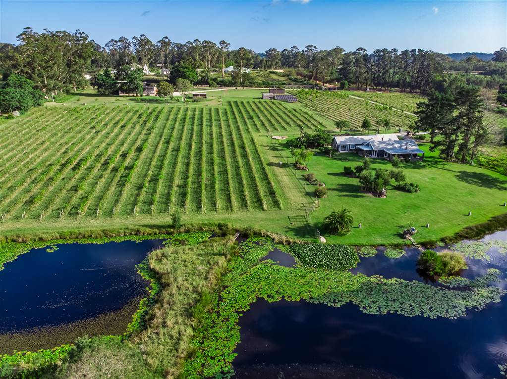 6 ha Smallholding 6 ha Smallholding