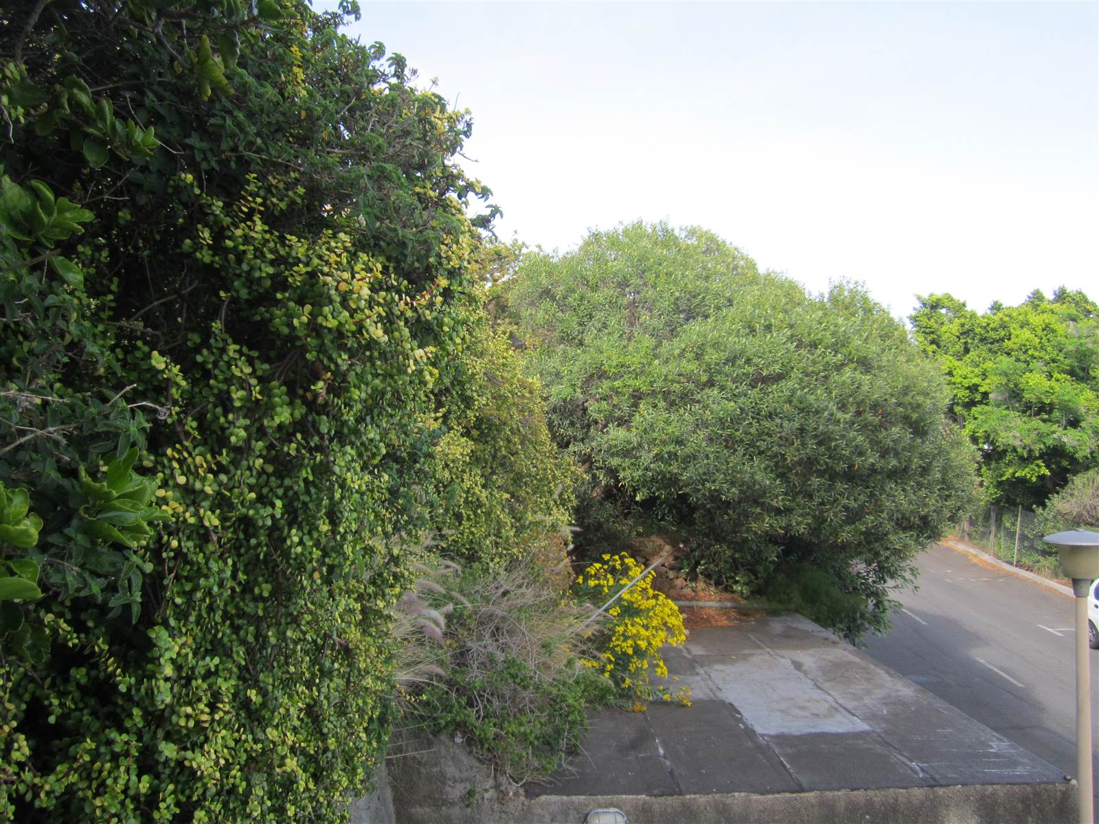 446 m² Land available in Gordons Bay Central photo number 3