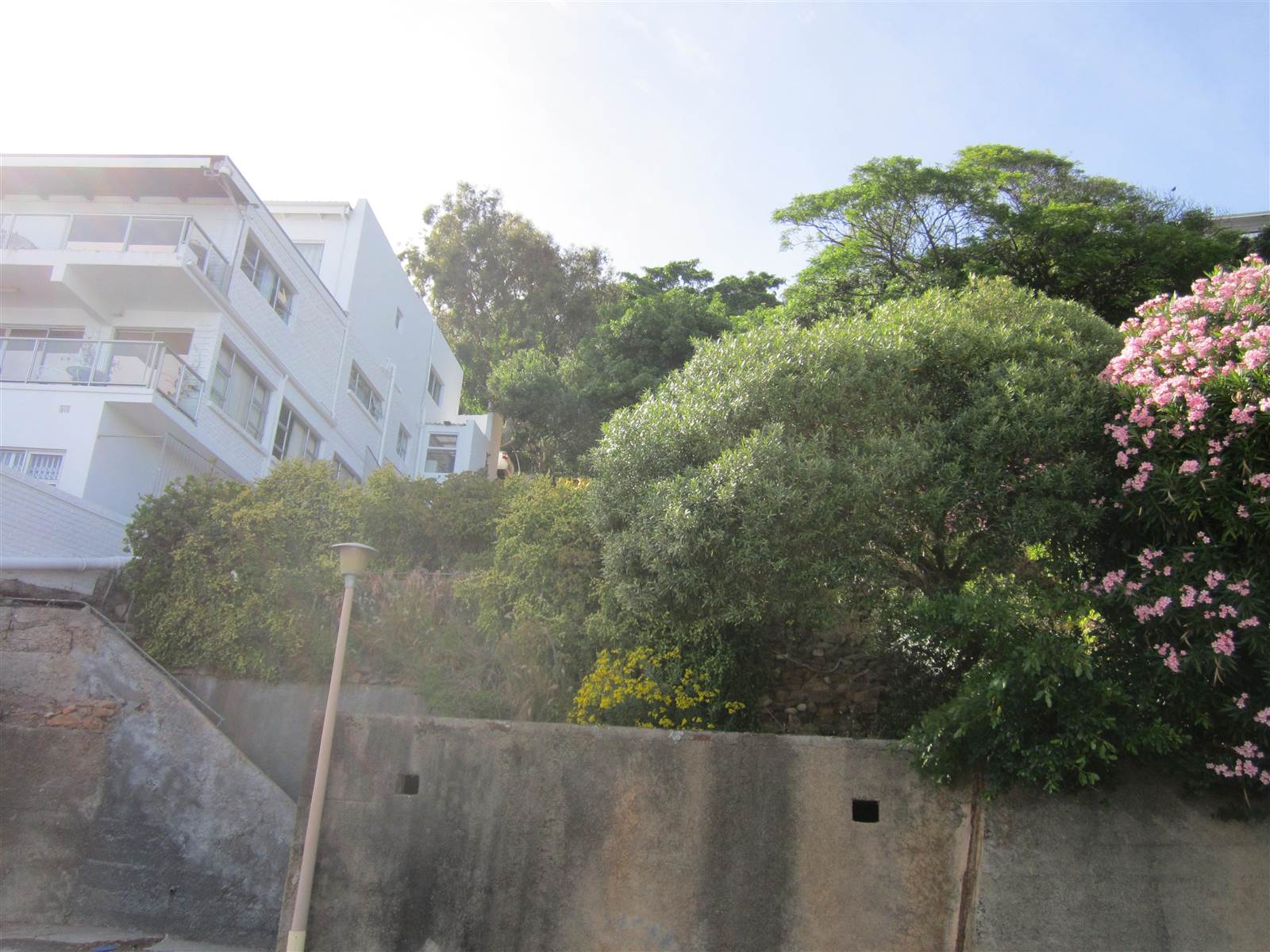 446 m² Land available in Gordons Bay Central photo number 6