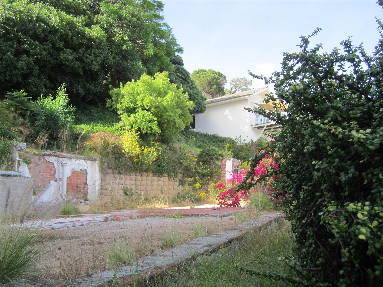 446 m² Land available in Gordons Bay Central photo number 4