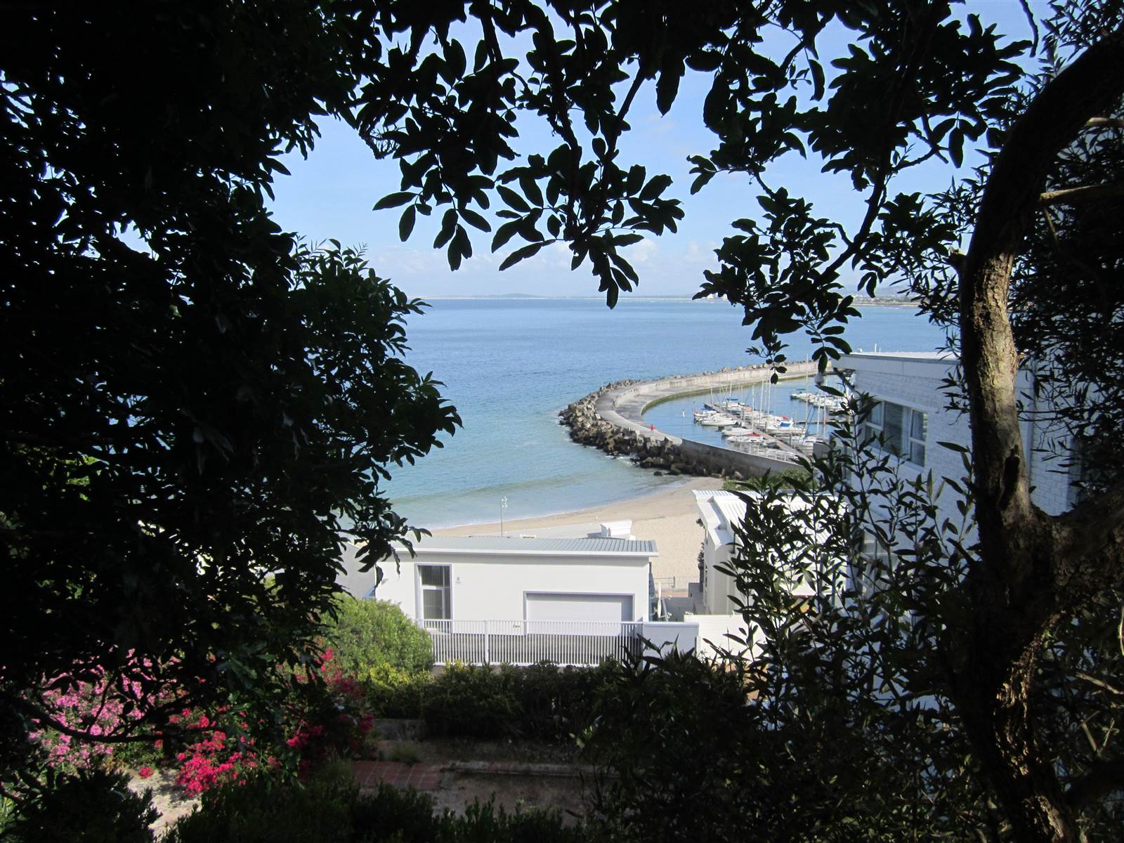 446 m² Land available in Gordons Bay Central photo number 1