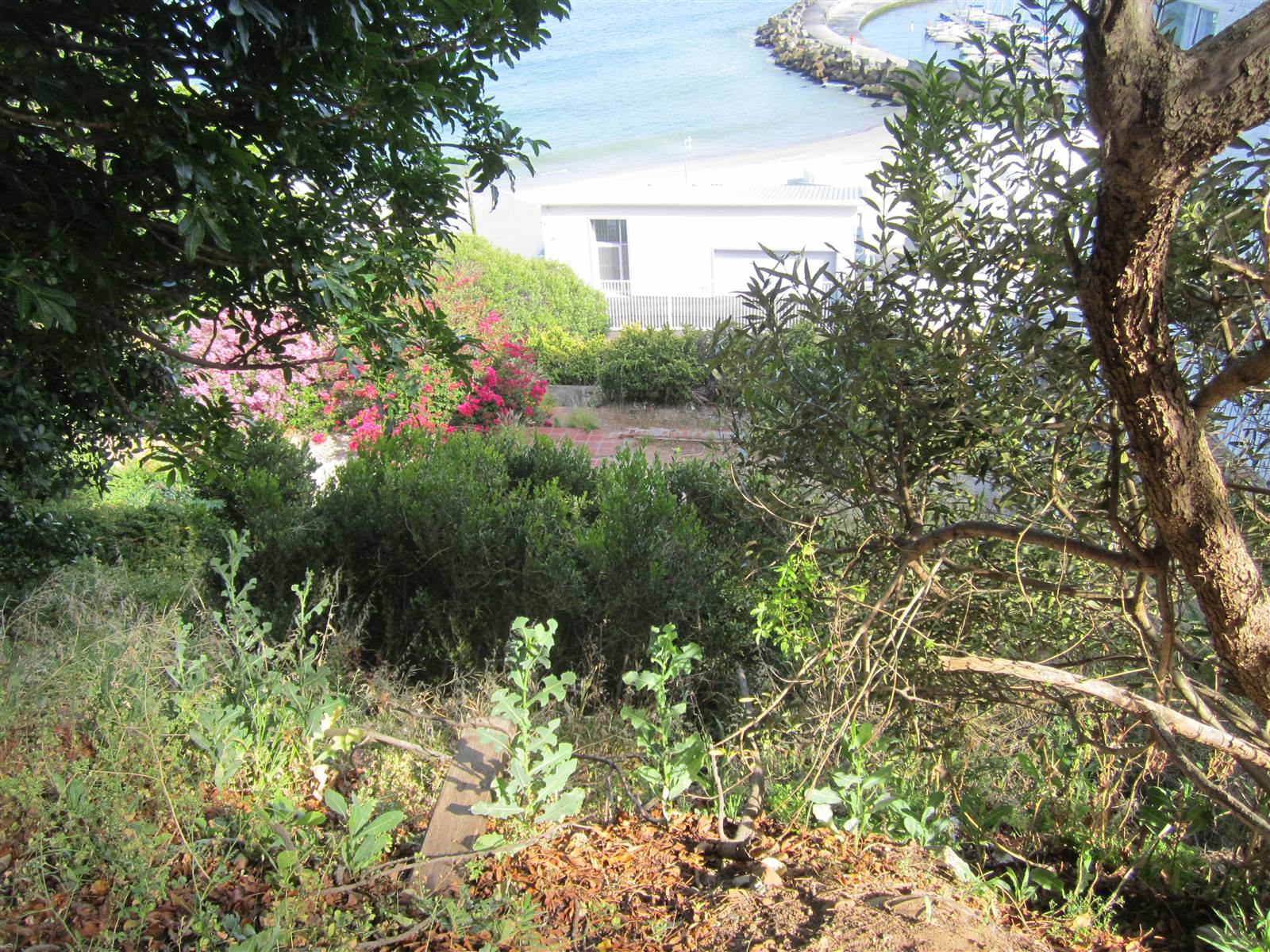 446 m² Land available in Gordons Bay Central photo number 2