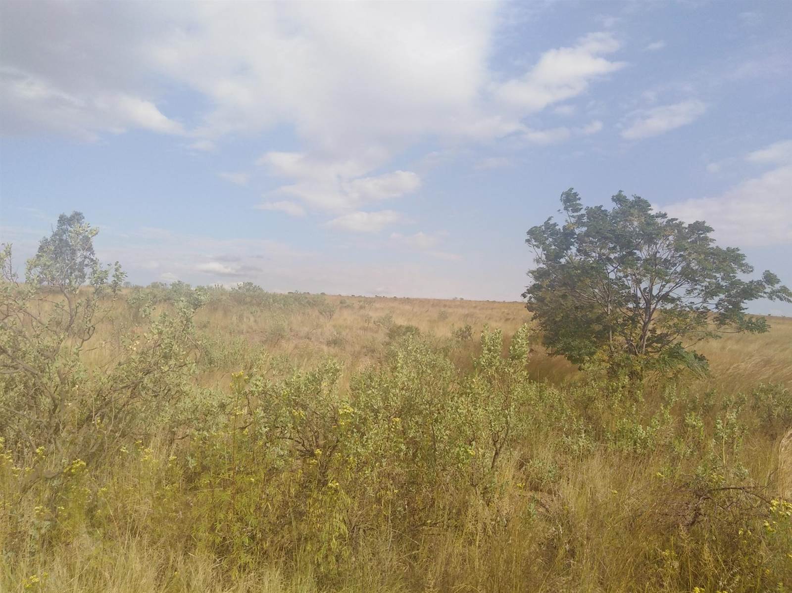 1.4 ha Land available in Middelburg Central photo number 4