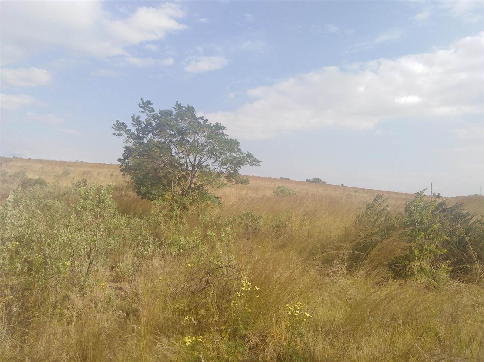 1.4 ha Land available in Middelburg Central photo number 3