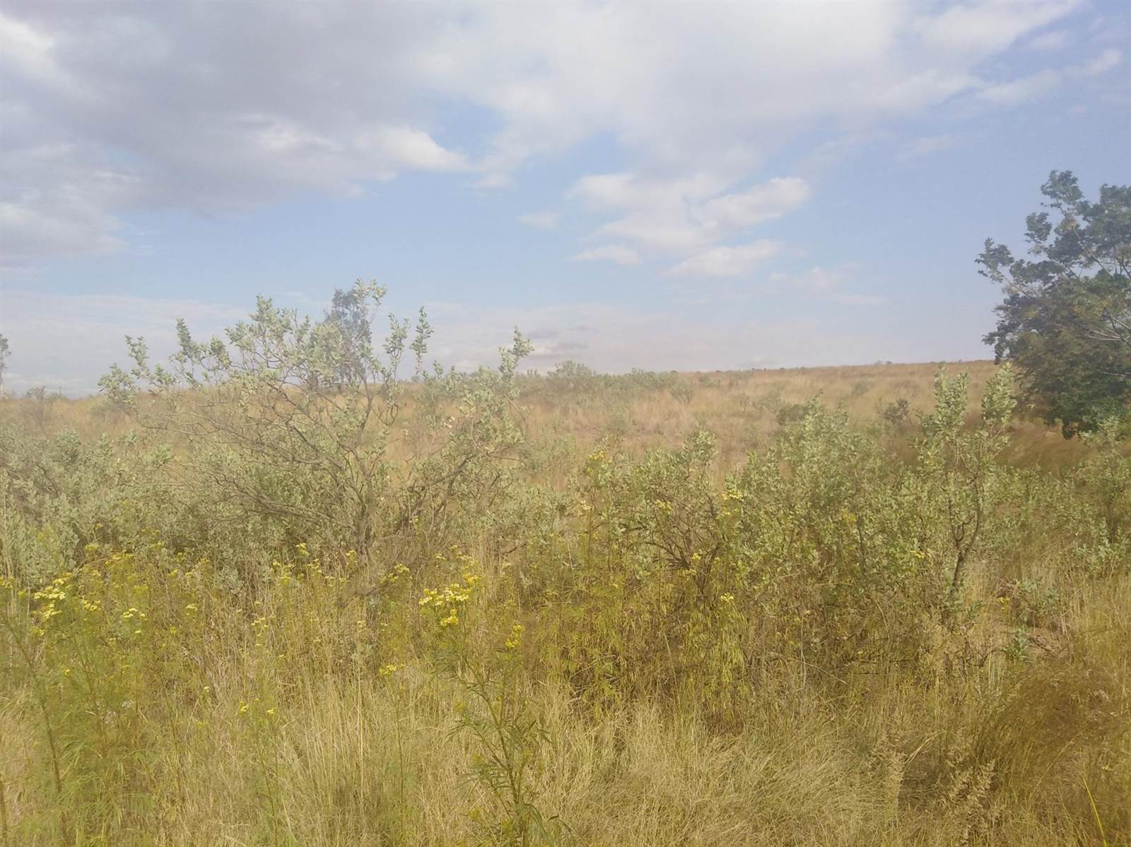 1.4 ha Land available in Middelburg Central photo number 5