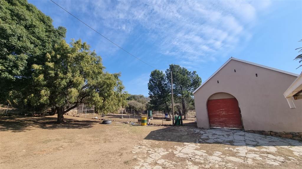 491 ha Farm in Bloemfontein Rural photo number 23