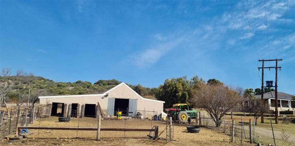 491 ha Farm in Bloemfontein Rural photo number 6