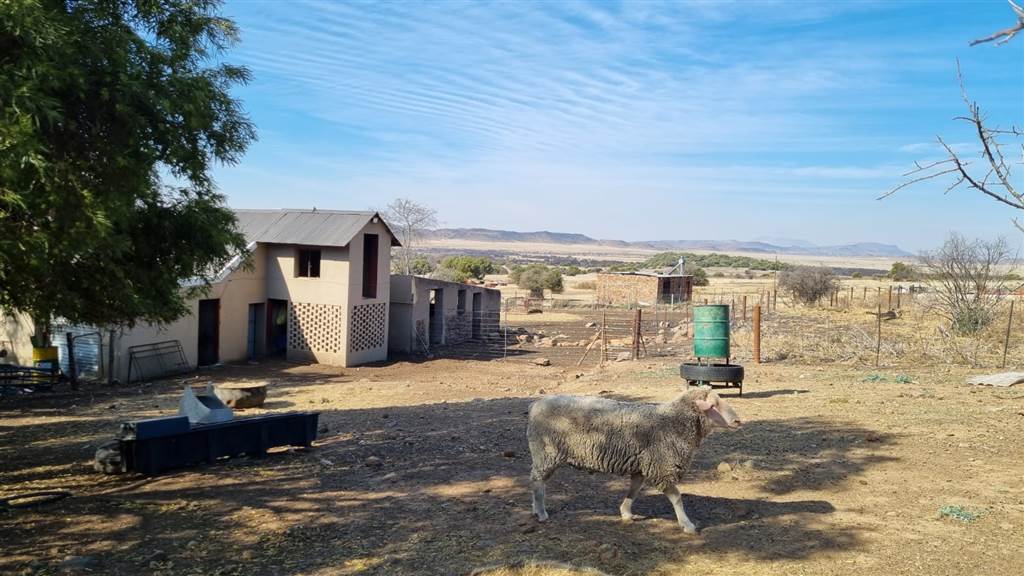 491 ha Farm in Bloemfontein Rural photo number 29