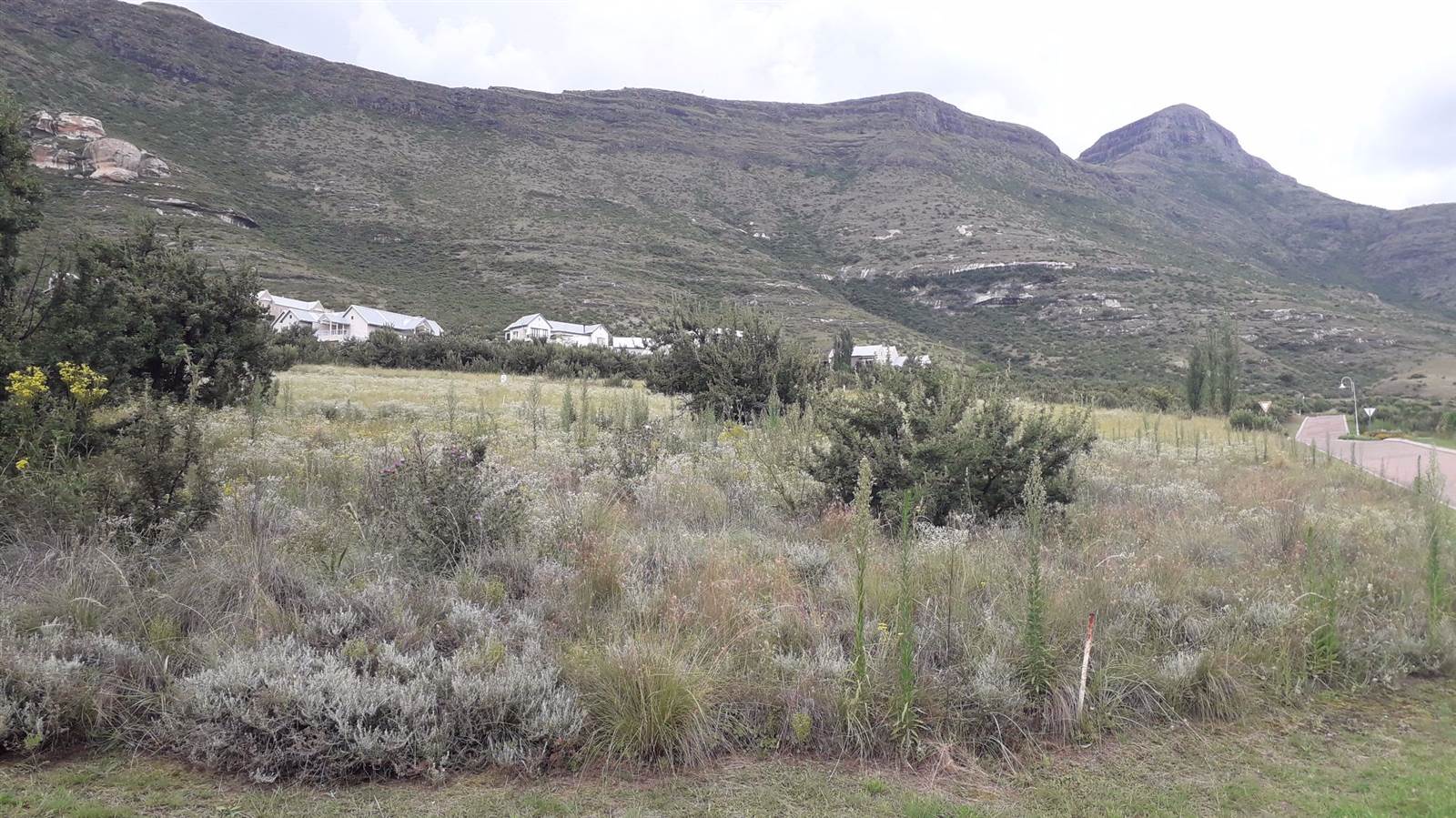 1491 m² Land available in Clarens photo number 2