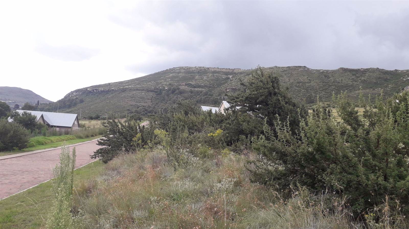 1491 m² Land available in Clarens photo number 6