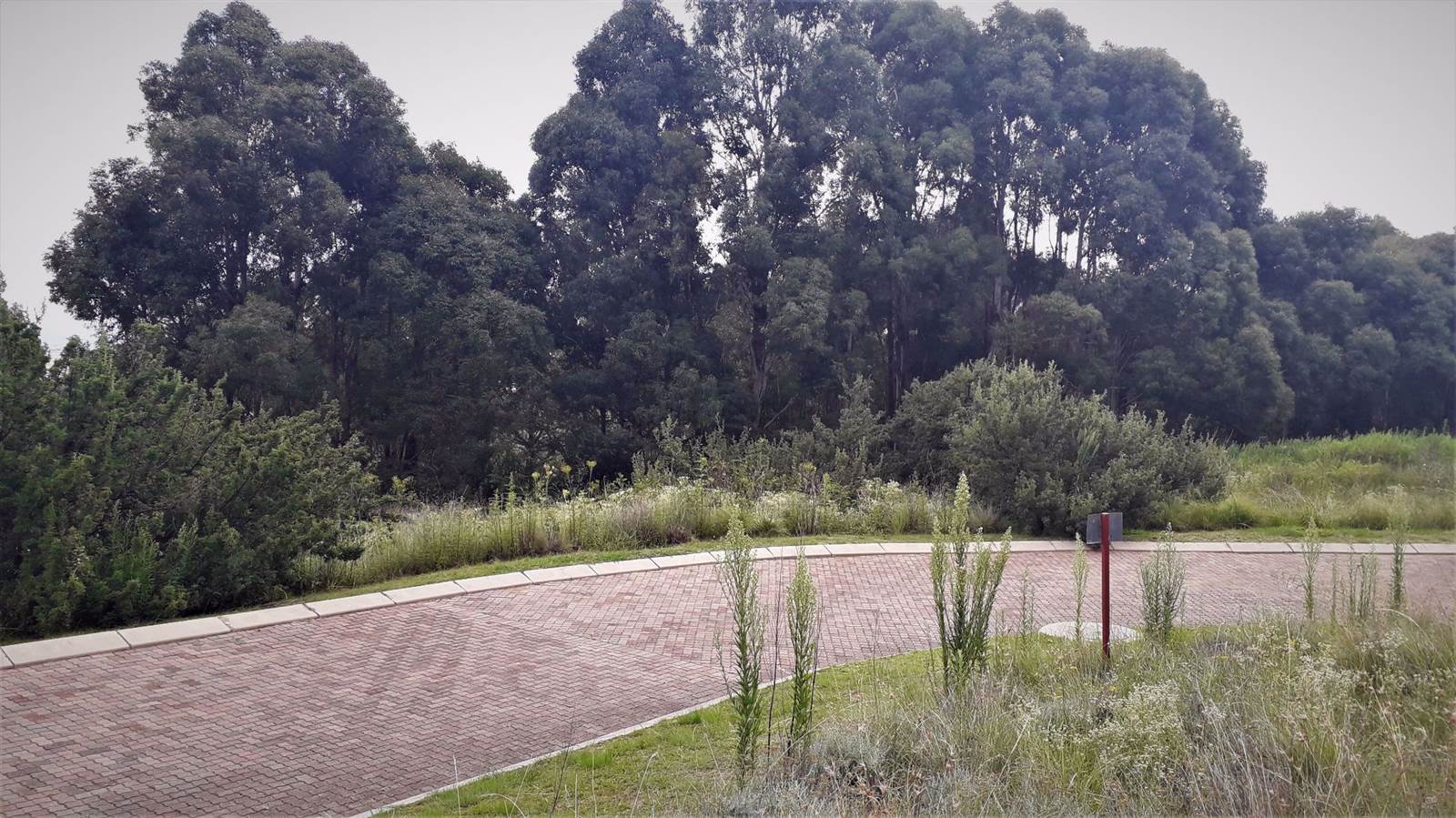 1491 m² Land available in Clarens photo number 8