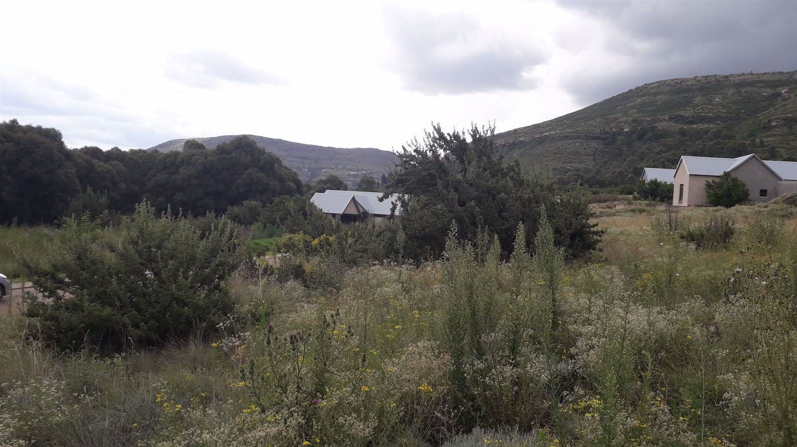 1491 m² Land available in Clarens photo number 12