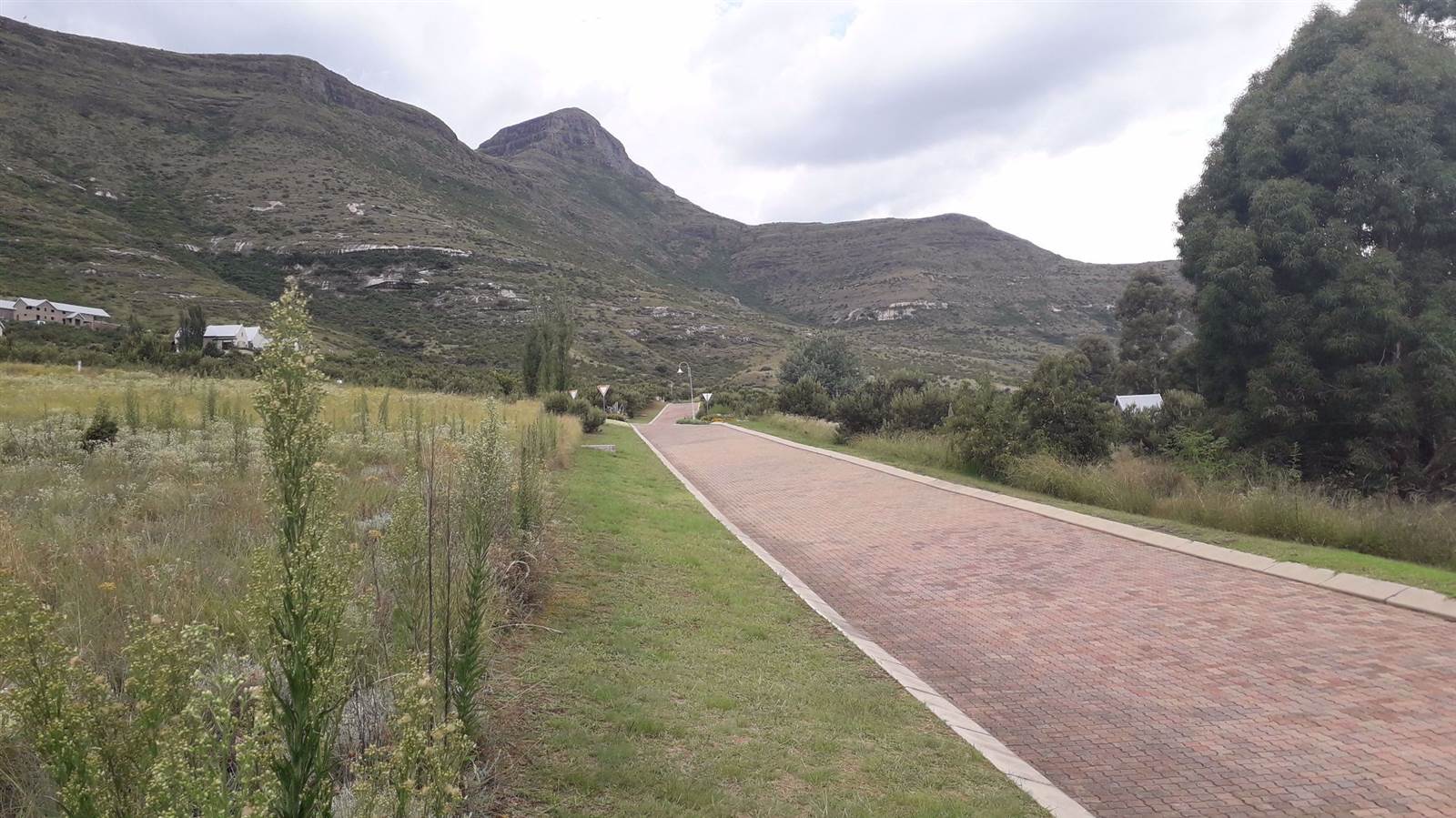 1491 m² Land available in Clarens photo number 5