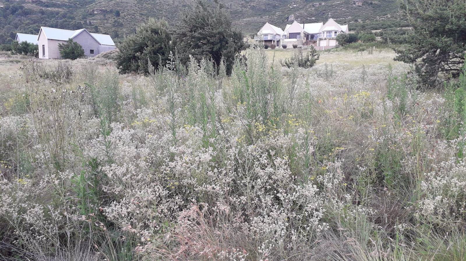 1491 m² Land available in Clarens photo number 7