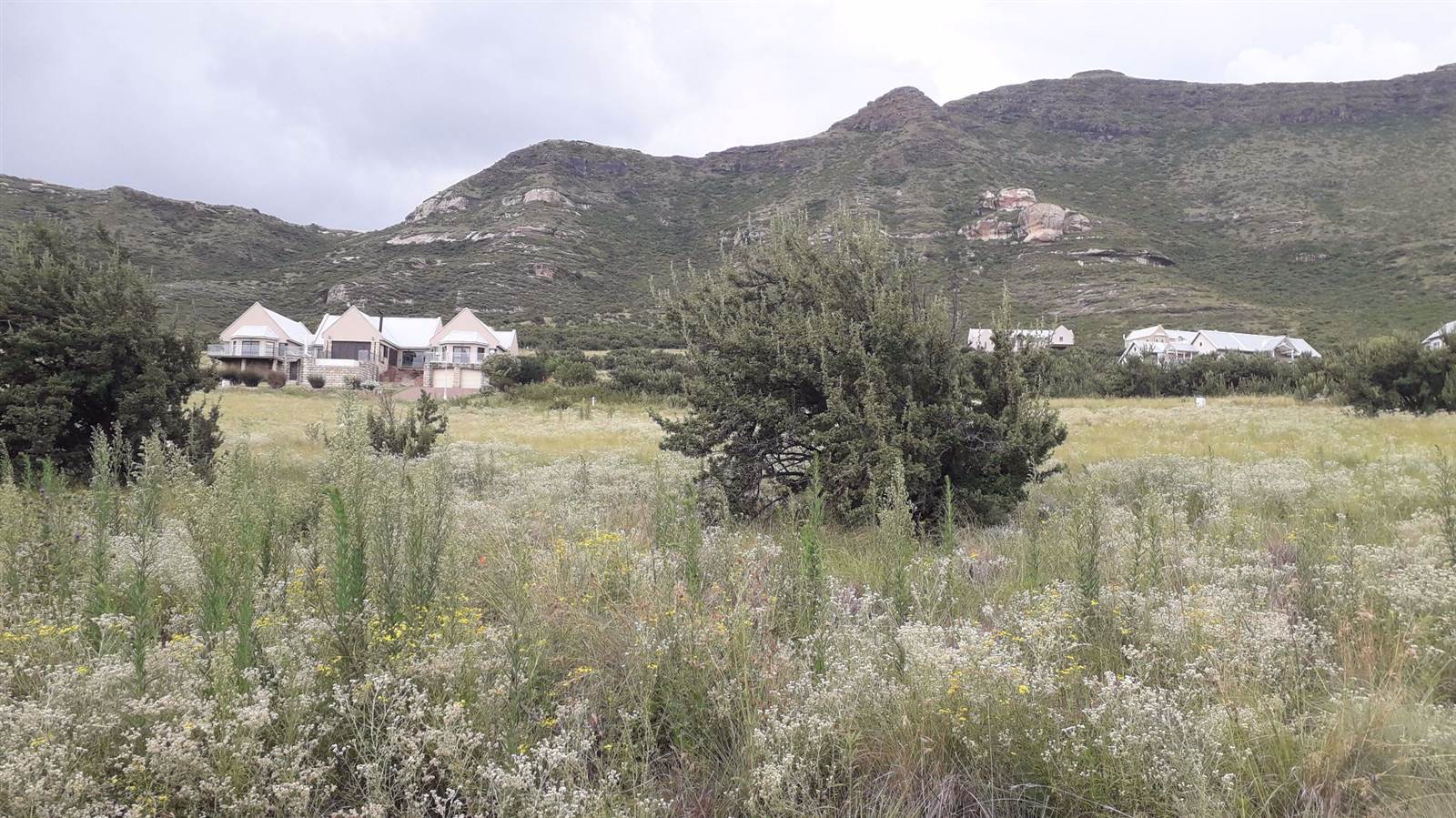 1491 m² Land available in Clarens photo number 3