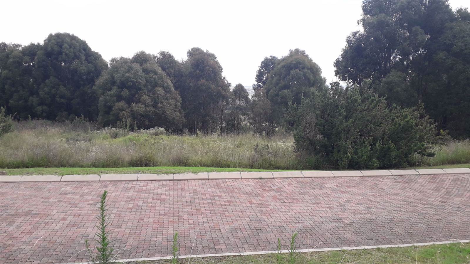 1491 m² Land available in Clarens photo number 9