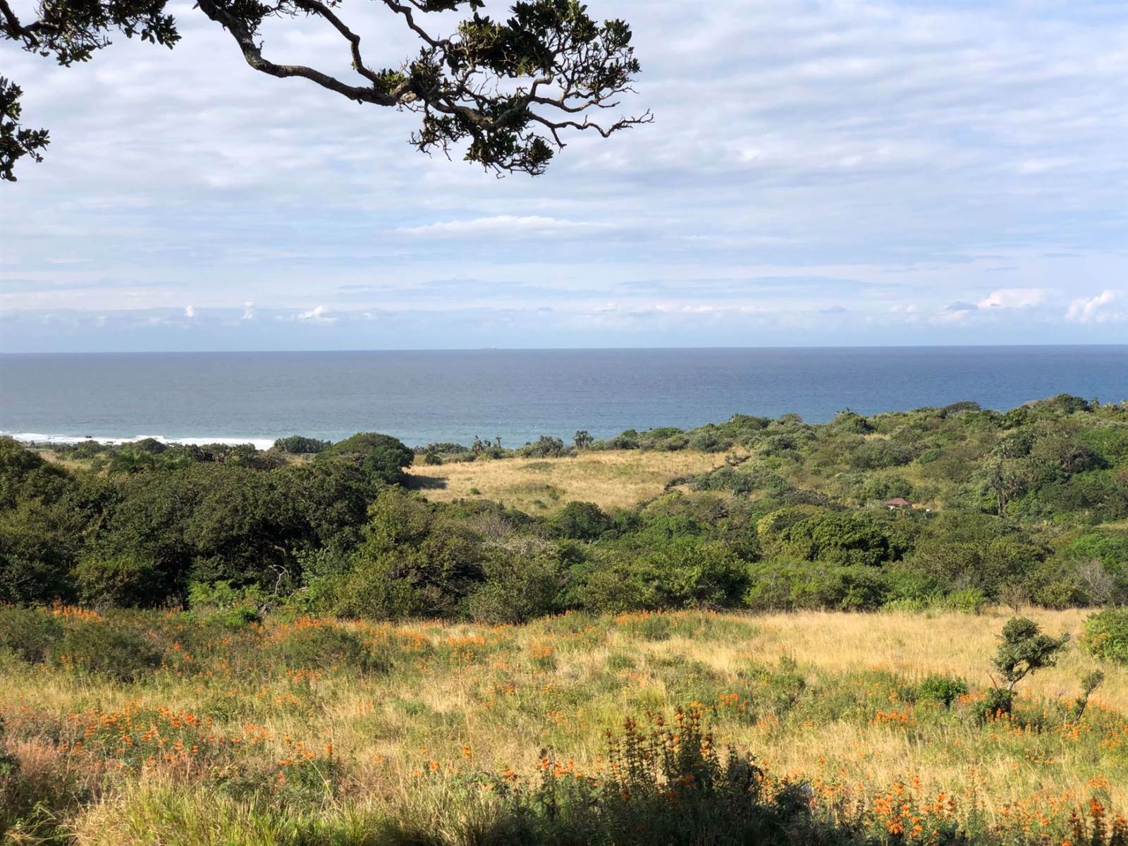 2099 m² Land available in Leisure Bay photo number 5