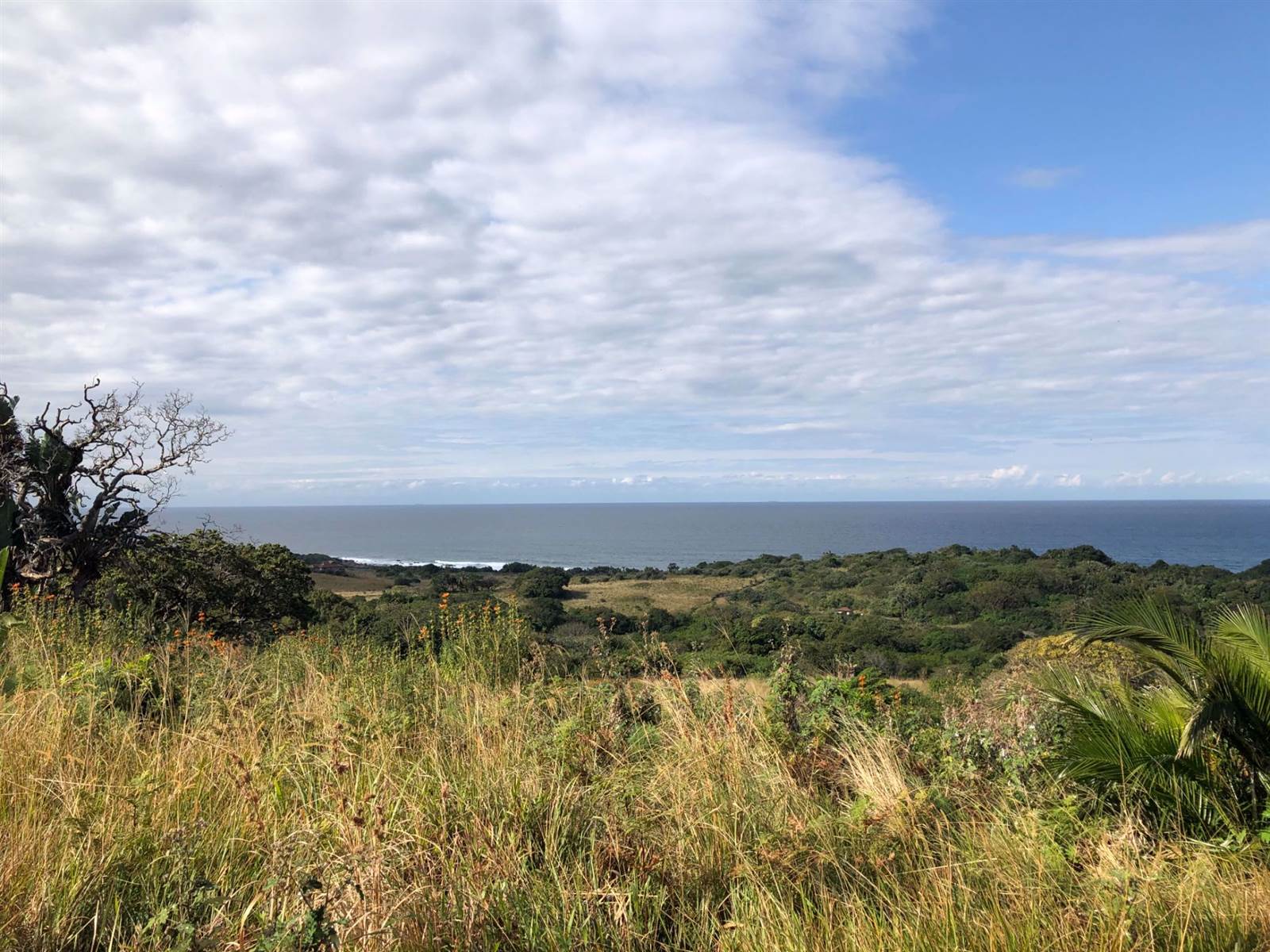 2099 m² Land available in Leisure Bay photo number 3