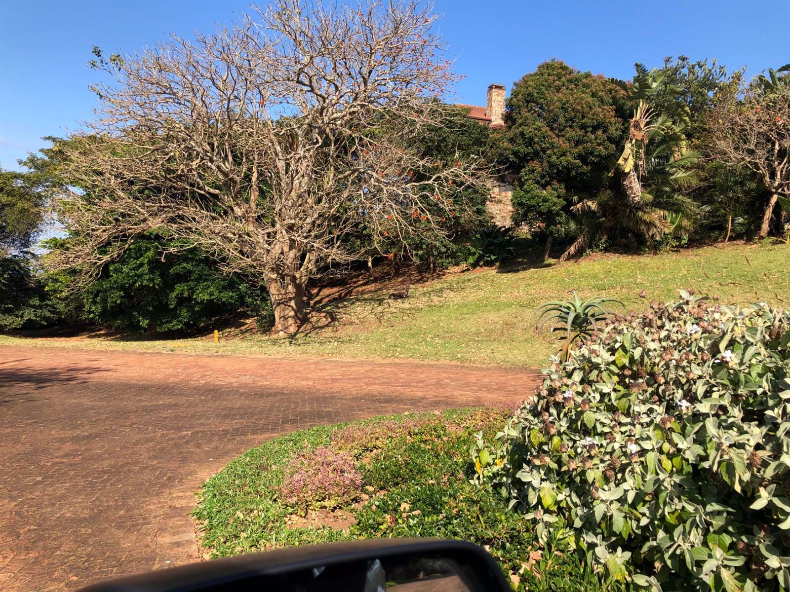 2099 m² Land available in Leisure Bay photo number 16