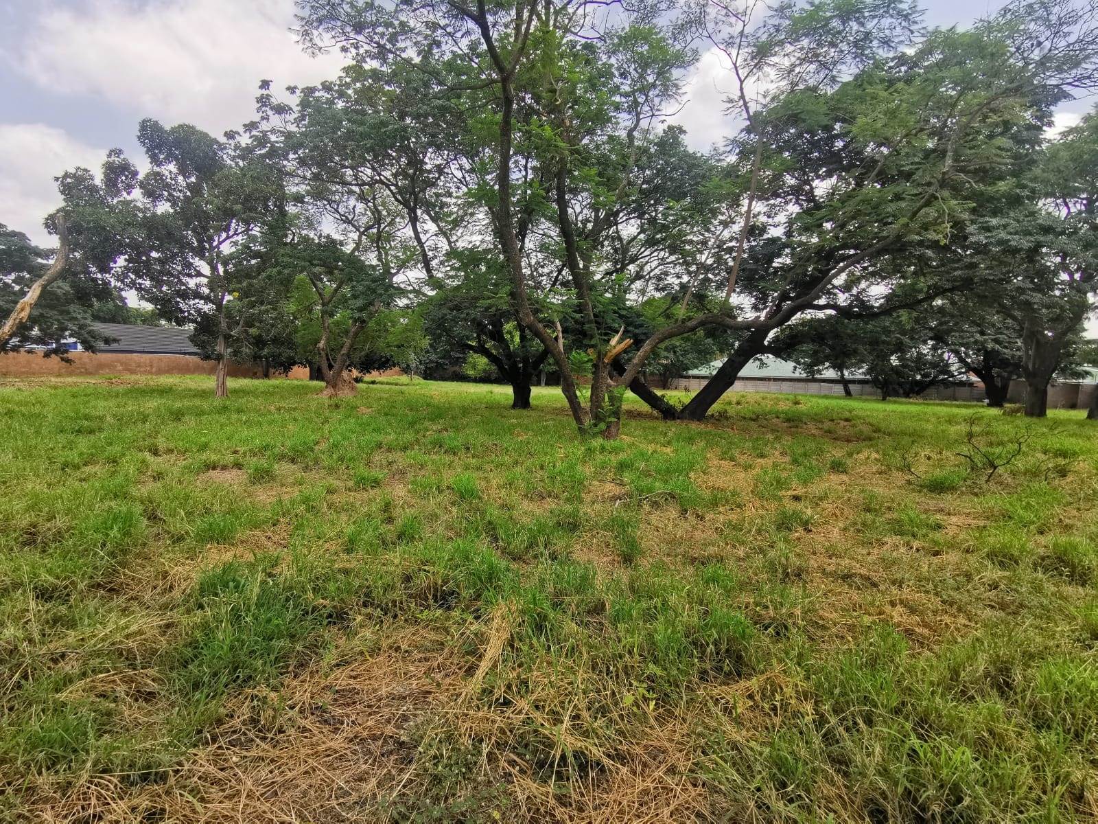 5653 m² Land available in Polokwane Central photo number 11