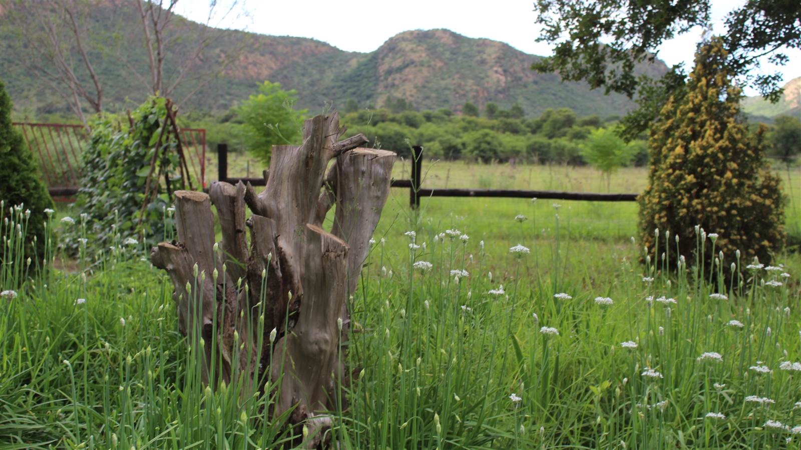 7 ha Farm in Potchefstroom Rural photo number 11