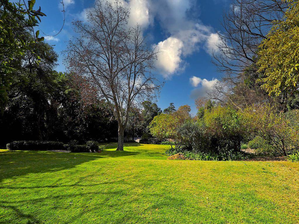 5000 m² Land available in Hurlingham photo number 2