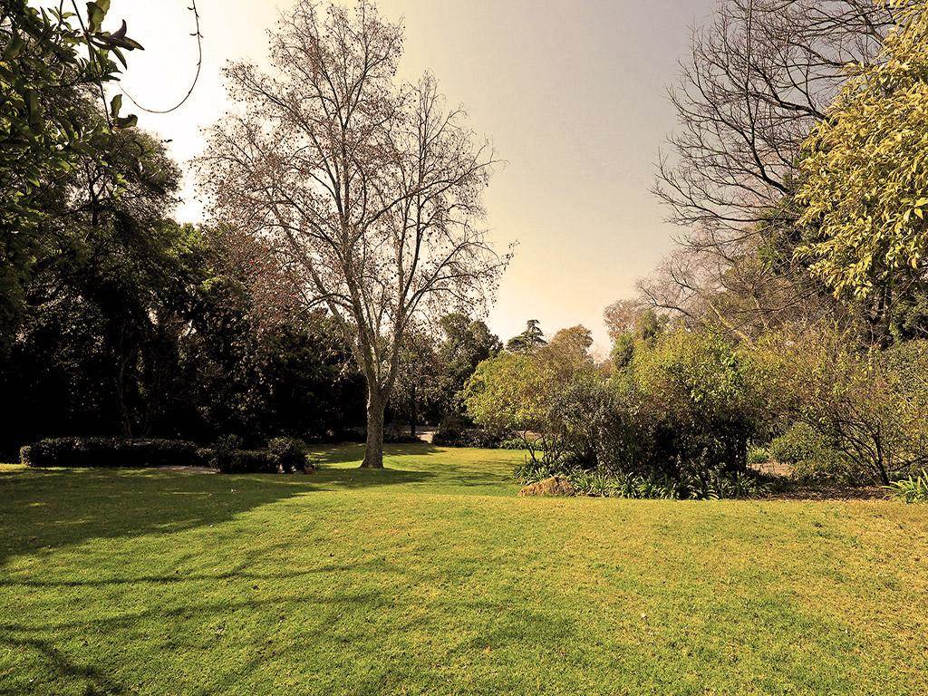 5000 m² Land available in Hurlingham photo number 4