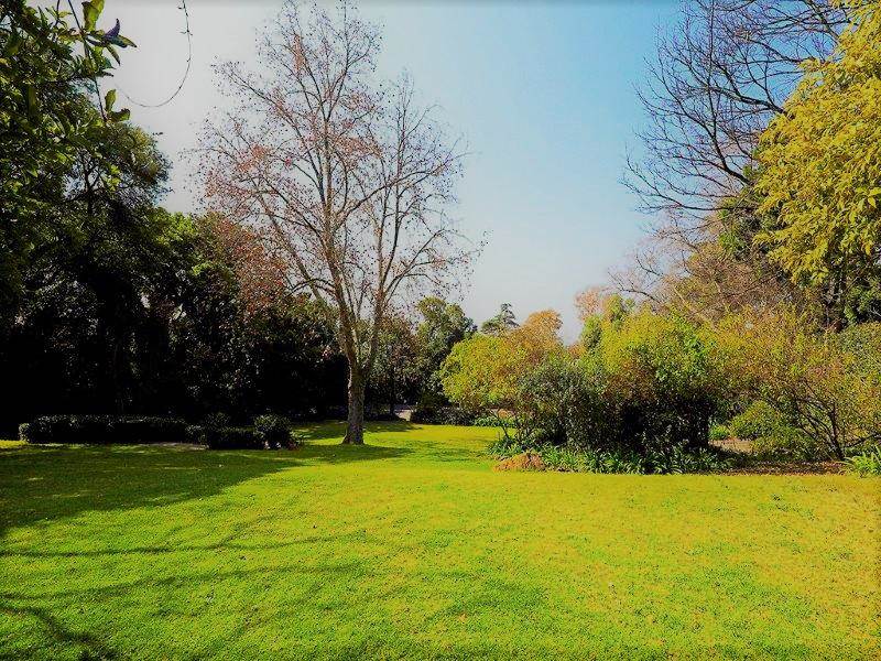 5000 m² Land available in Hurlingham photo number 3