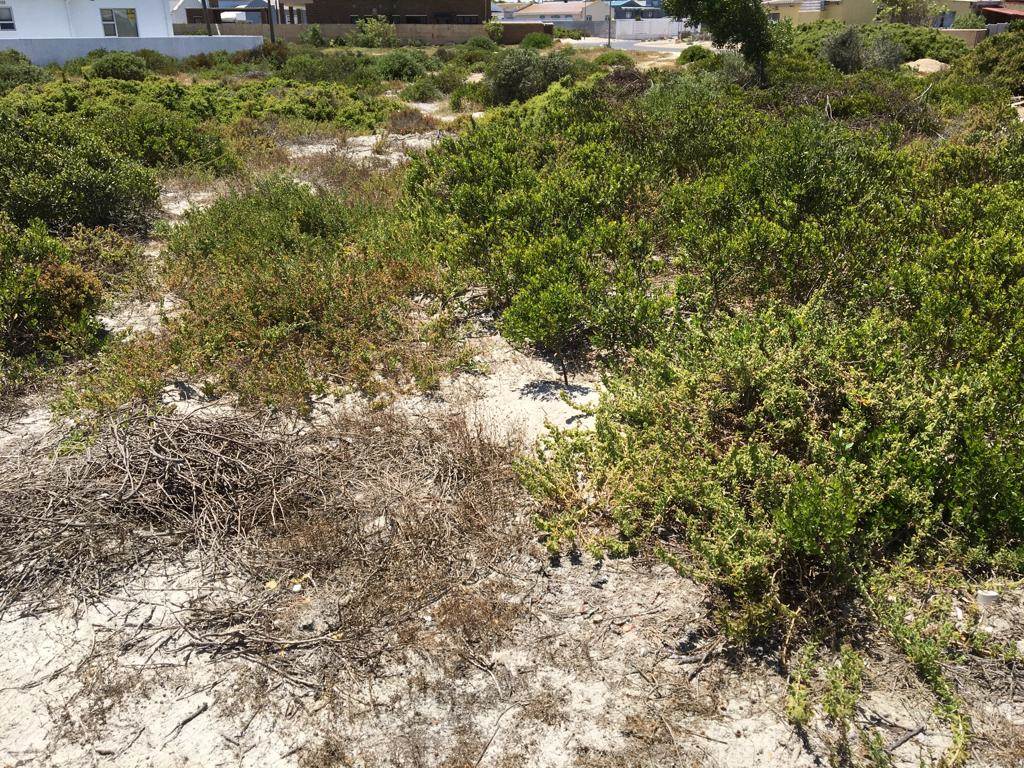 2974 m² Land available in Langebaan North photo number 3