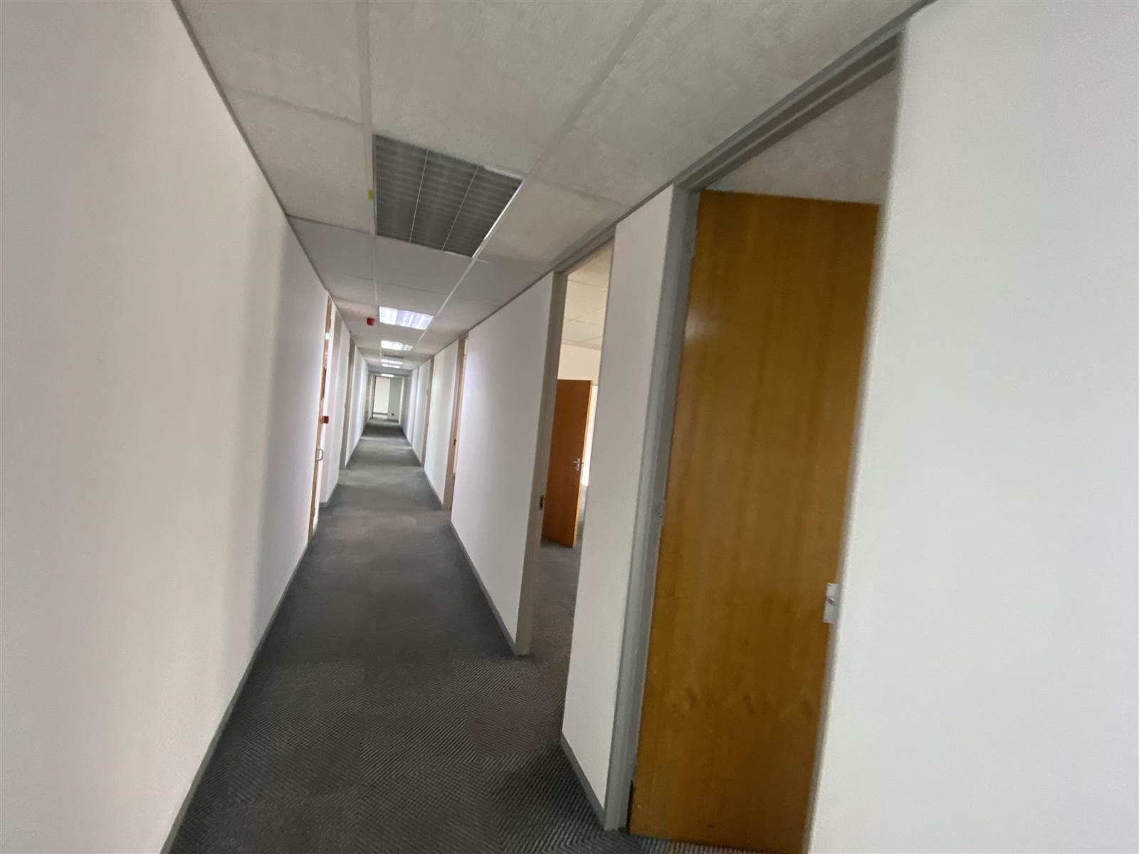 3790  m² Commercial space in Sunninghill photo number 16